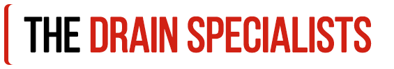 The Drain Specialists logo